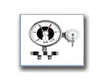 Plants: image 1 0f 4 thumb